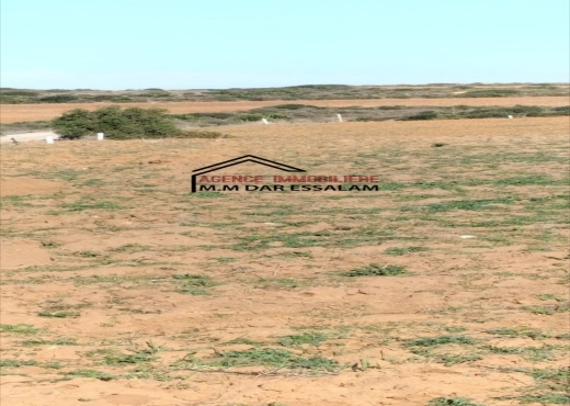 terrain près de la mer