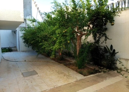 Appartement À Vendre à ARIANA - À VENDRE : villa à Riadh elandalos. - Immobiliere.tn - Photo 14