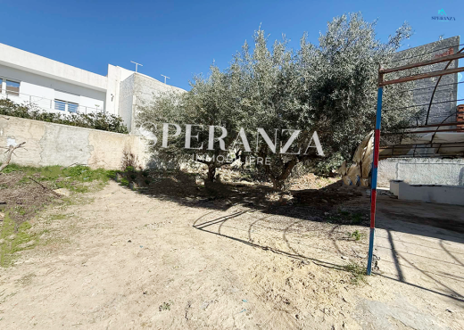 Terrain El Yassamine