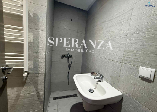 Location Appartement Celio S+3