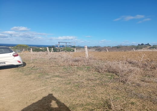 📍🌿 Terrain 2329 m² à Béjou – Ghar El Melh