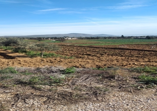 Terrain agricole constructible à Ghar El Melh