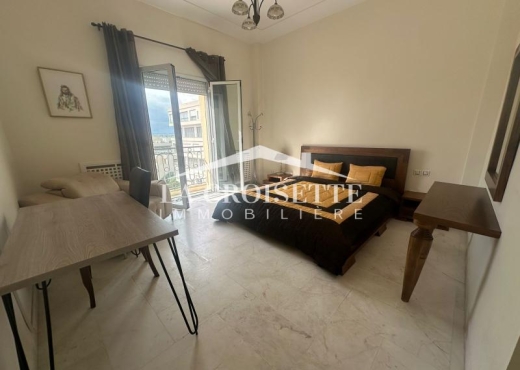 S3 meublé au Lac2 ZAL1994