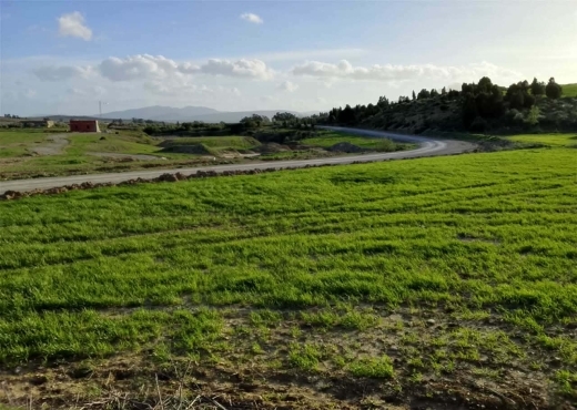 TERRAIN AGRICOLE A VENDRE