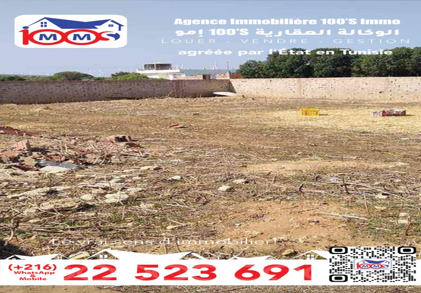 terrain À Vendre à NABEUL - Terrain A ne pas ratez El Haouaria - Immobiliere.tn