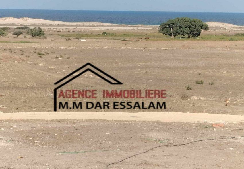terrain près de la mer