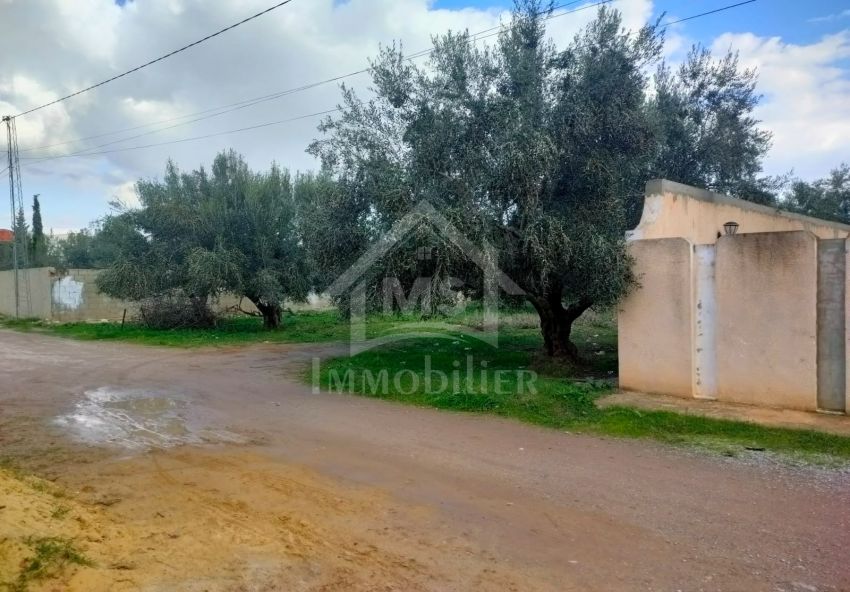 Terrain de 500 m² à vendre Hammamet Sud à 135 MD 51355351