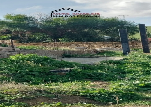 terrain À Vendre à NABEUL - terrain sur la route principal - Immobiliere.tn - Photo 8