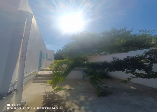 A vendre villa et commerce