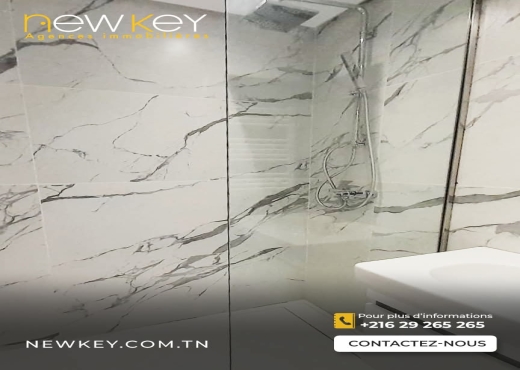 A louer Appartement S+2