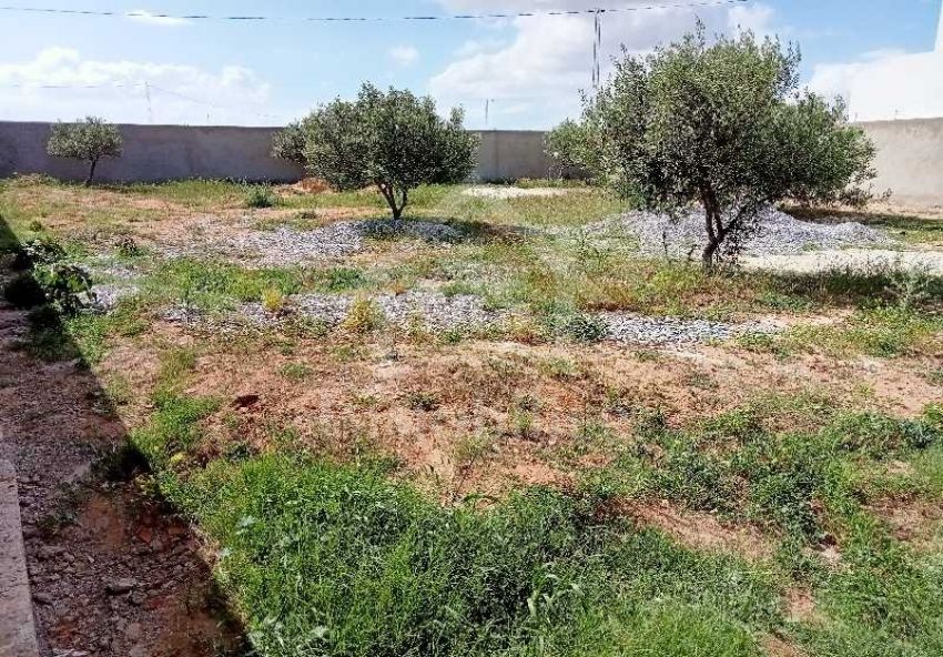 Terrain clôturé de 687 m² à vendre à Hammamet Sud 51355351