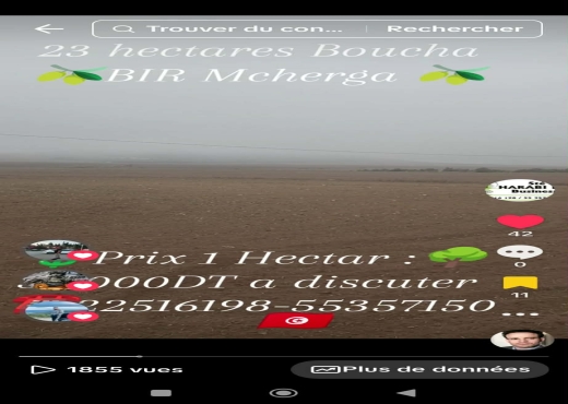 23 hectares excellentes sol fertil