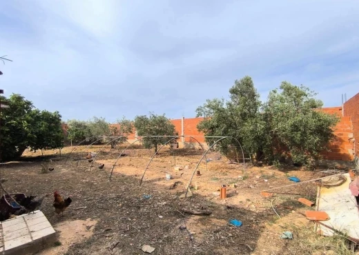 terrain À Vendre à MONASTIR - Terrain agricole à vendre - Immobiliere.tn - Photo 8
