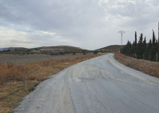 À vendre : terrain agricole de 2 h