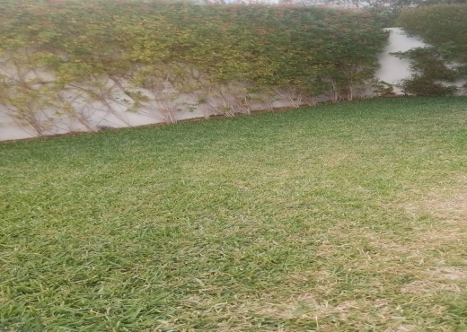 À VENDRE – TRIPLEX AVEC PISCINE ET JARDIN