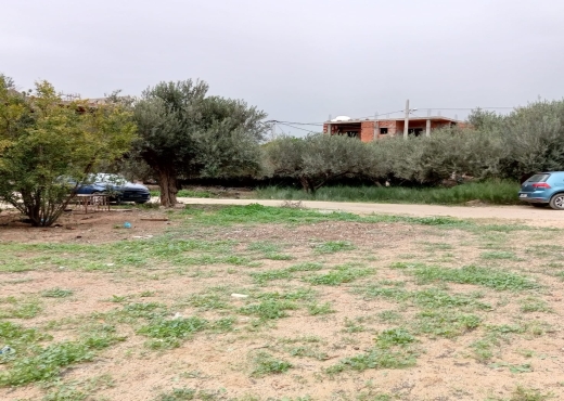 terrain à sidi salah