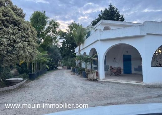 FERME BENI KHALLED 2 T1225