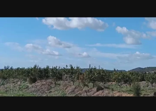 terrain À Vendre à ZAGHOUAN - société agricole à vendre - Immobiliere.tn - Photo 4