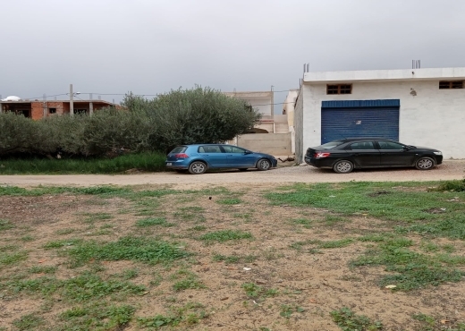 terrain à sidi salah - chotrana 1