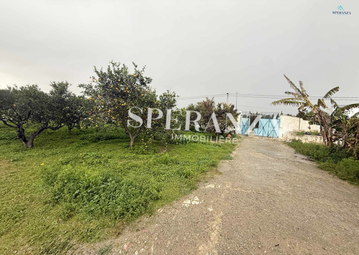 vente terrain viviana