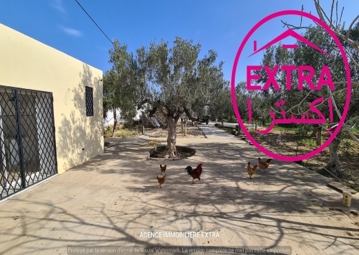VENTE FERME CLÔTURÉ À DAROUFA