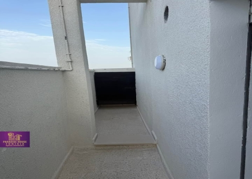 S+3 Ariana borj bakouch