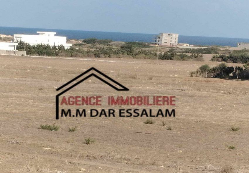 terrain près de la mer