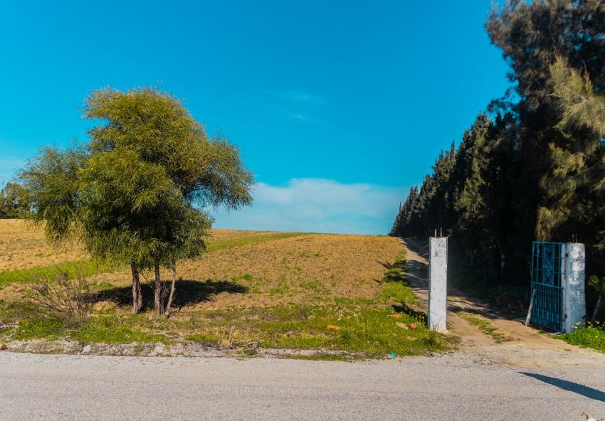7 hectar à bou argoub el kharrouba nabeul
