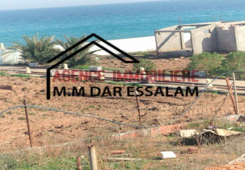 terrain première position de la mer