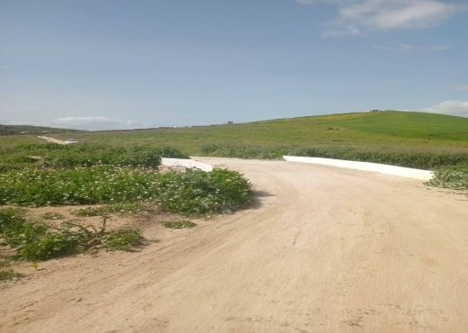 للبيع قطع أرض في سيدي ثابت-شرفش