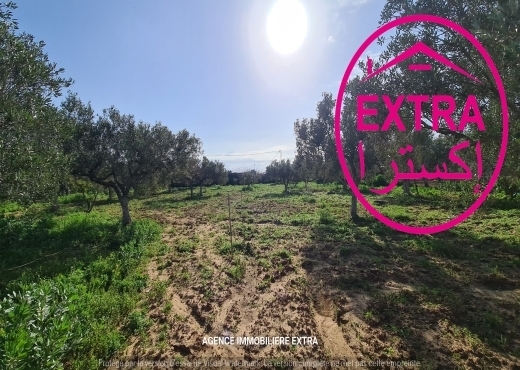 VENTE FERME CLÔTURÉ À DAROUFA