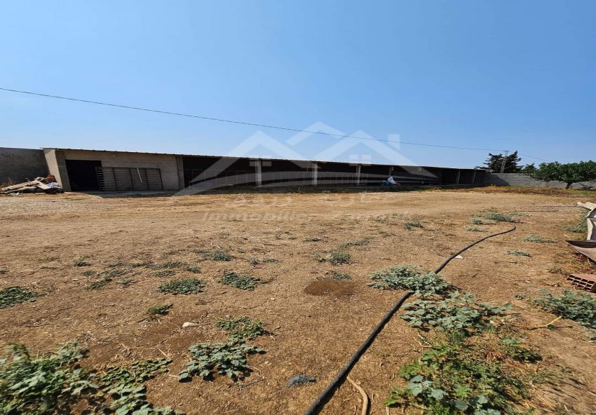 A vendre terrain agricole avec 2 écuries a Khitmine Bizerte