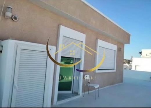 A louer s+1 meuble a Carthage Salammbô .