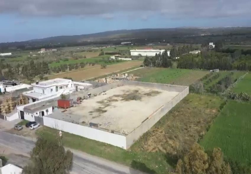 Terrain, route el alia Bizerte