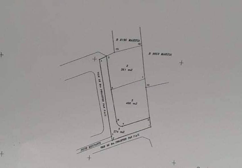 Vente terrain situé à rjiech Mahdia