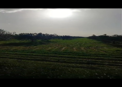 terrain À Vendre à ZAGHOUAN - TERRAIN AGRICOLE A VENDRE - Immobiliere.tn - Photo 5