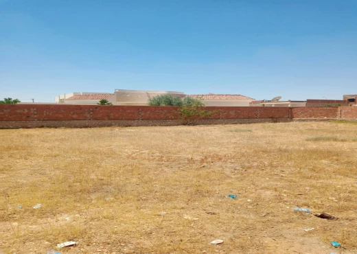 terrain À Vendre à SFAX - A Vendre terrain Rte Teniour Sfax - Immobiliere.tn - Photo 4