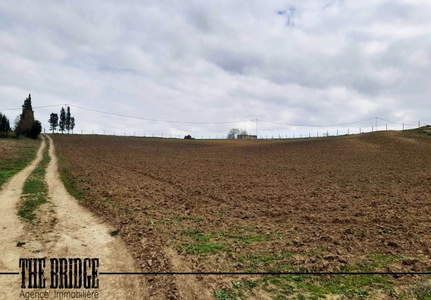 1.2 Hectares nu à Bouargoub