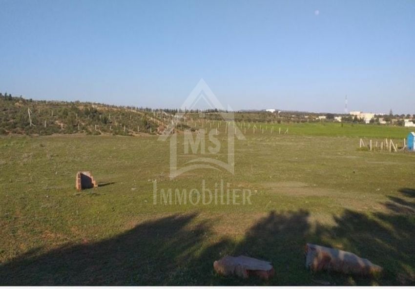 Terrain de 1000 m² à vendre à 85 MD 51355351