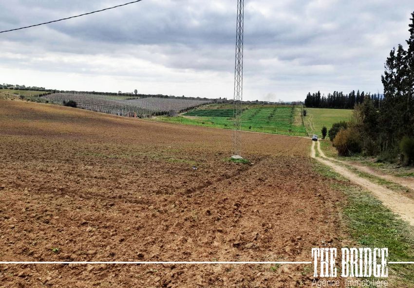 1.2 Hectares nu à Bouargoub