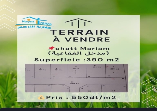 A Vendre Terrain Fokaia ChatMarim