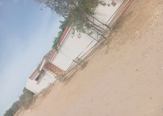 ferme À Vendre à SFAX - A Vendre ferme avec maison Sfax - Immobiliere.tn - Photo 3