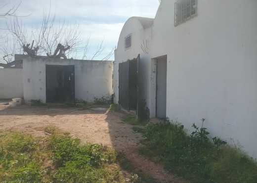 للبيع فيرمة لوز و زيتون و غلال أخرى