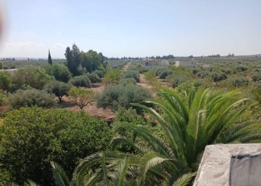 A Vendre Ferme + 2 Maison a Zaghouan