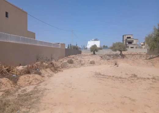 terrain À Vendre à MEDENINE - Terrain à vendre à Arkou Djerba - Immobiliere.tn - Photo 2