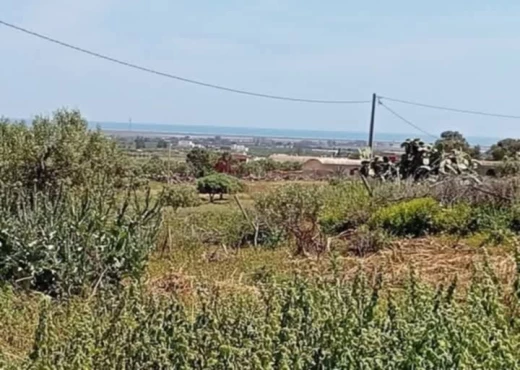 terrain À Vendre à SOUSSE - terrain agricole à vendre - Immobiliere.tn - Photo 3