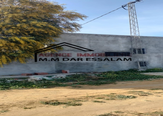 terrain agricole à vendre