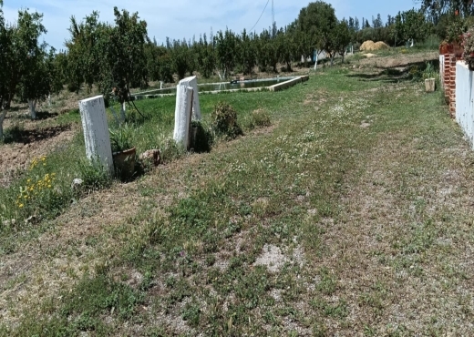 terrain agricole