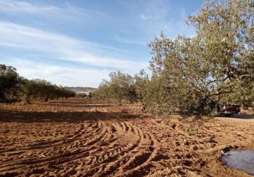 Vente terrain à Monchar Hammamet