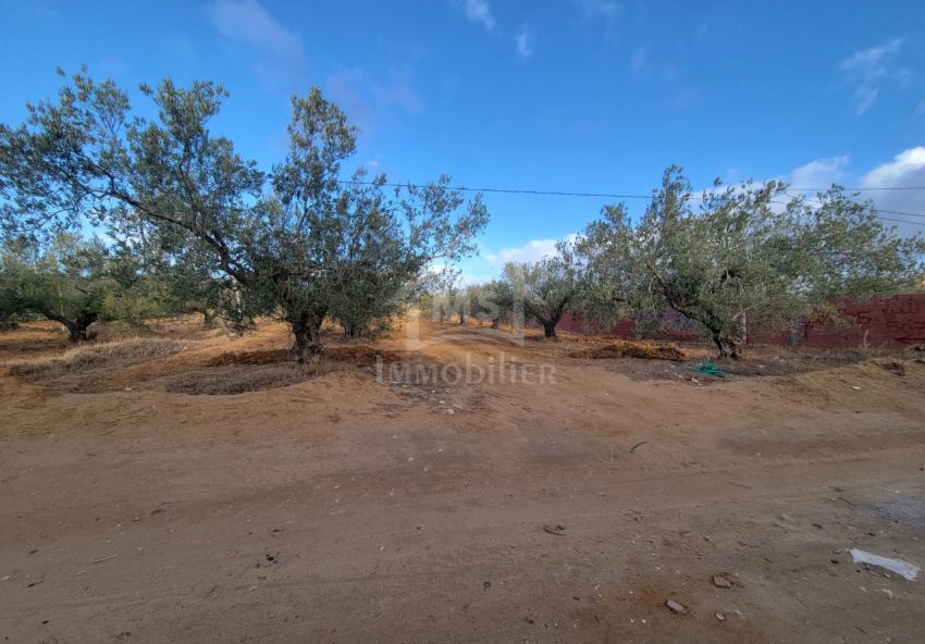 Terrain de 1800 m² à vendre à Hammamet Sud 51355351